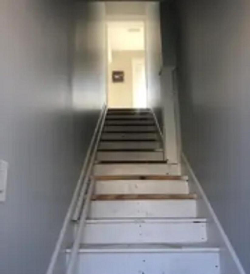 St Pete Vacation Rentals St. Petersburg Bagian luar foto